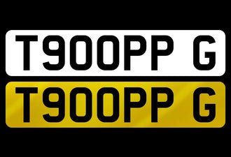T900 PPG