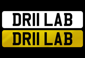 DR11 LAB