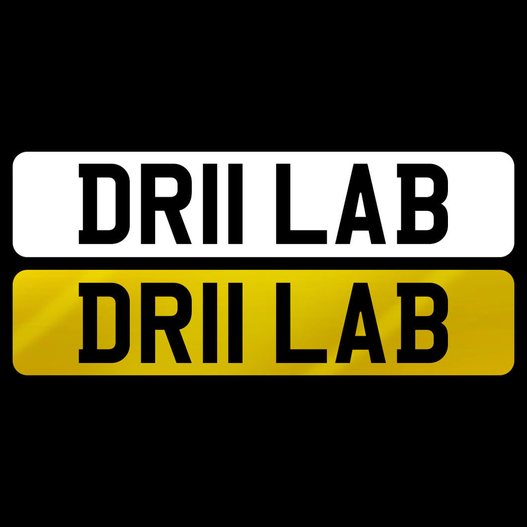 DR11 LAB