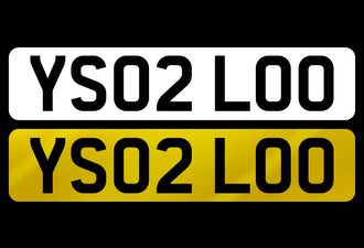 YS02 LOO