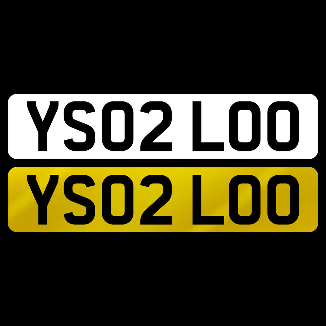 YS02 LOO