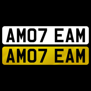 AM07 EAM