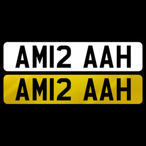 AM12 AAH