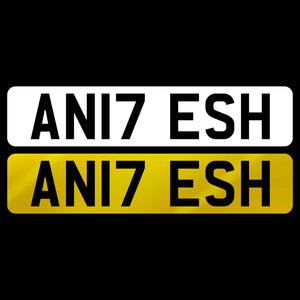 AN17 ESH