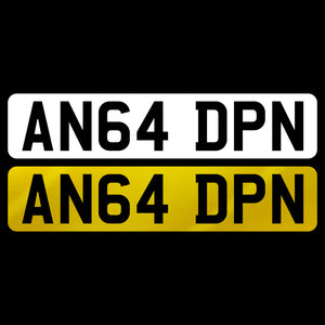 AN64 DNP