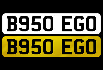 B950 EGO