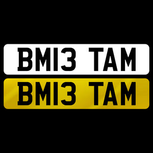 BM13 TAM