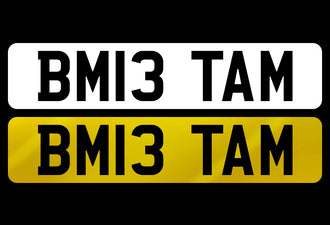 BM13 TAM