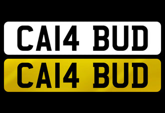 CA14 BUD