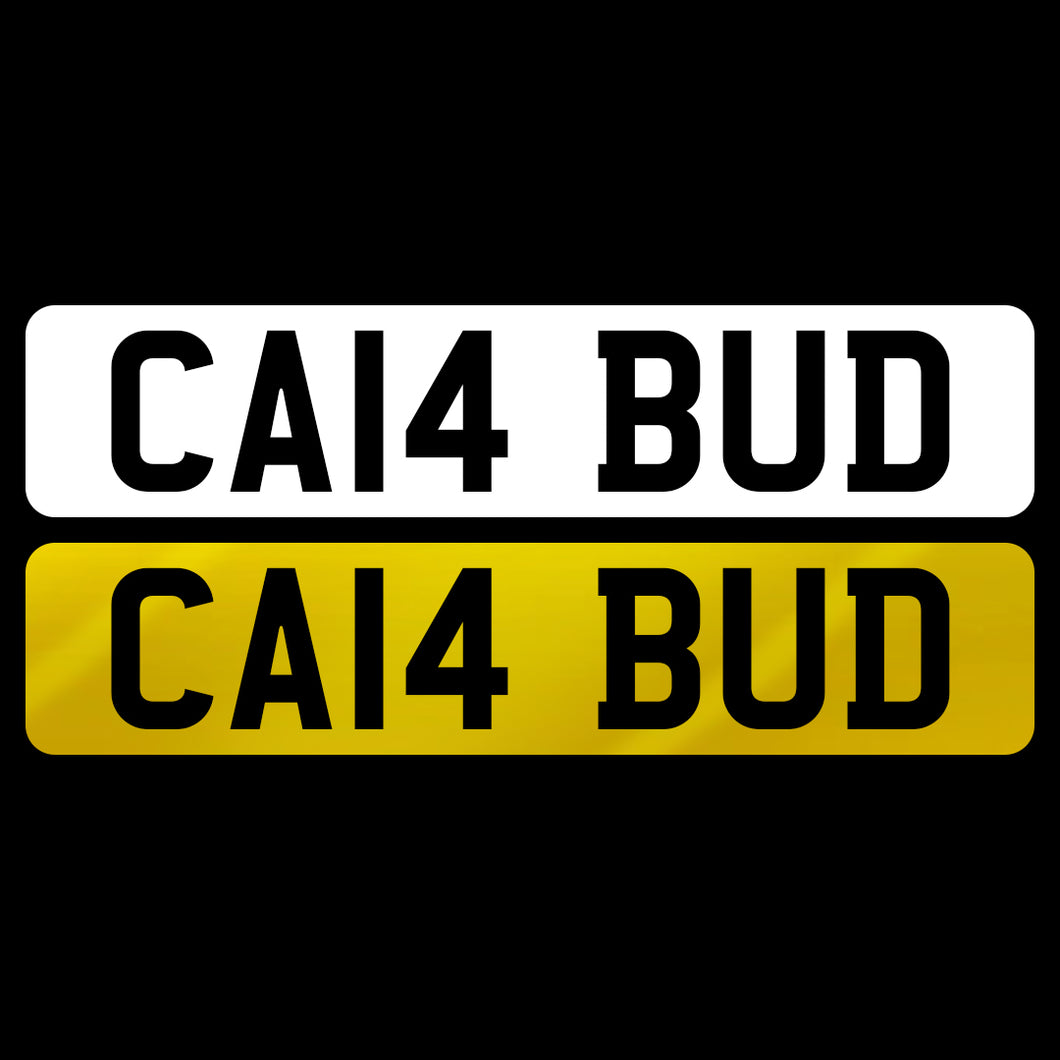 CA14 BUD