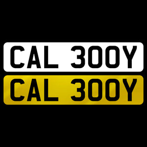 CAL 300Y