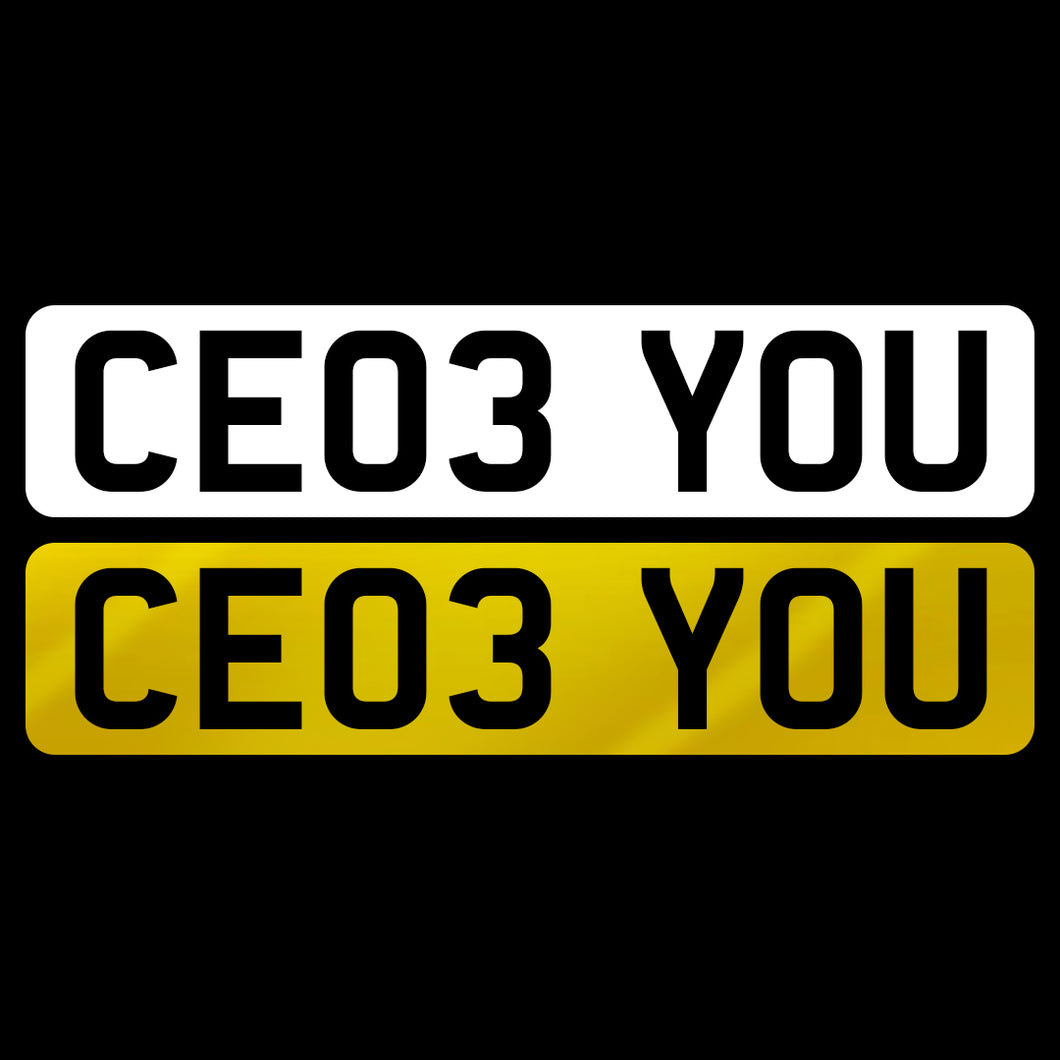 CE03 YOU