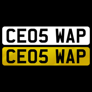 CE05 WAP