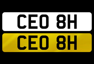 CEO 8H