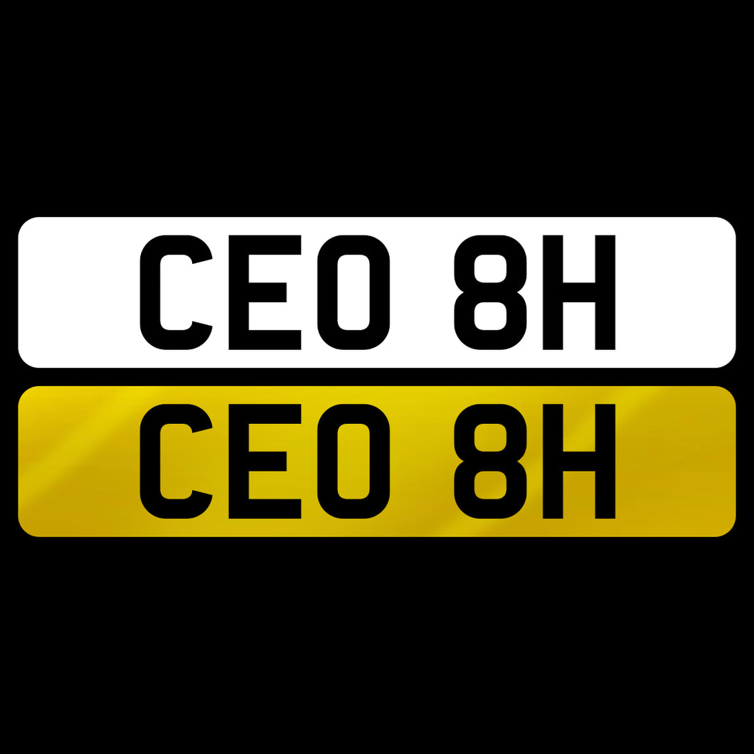 CEO 8H