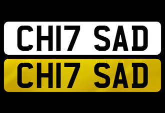 CH17 SAD