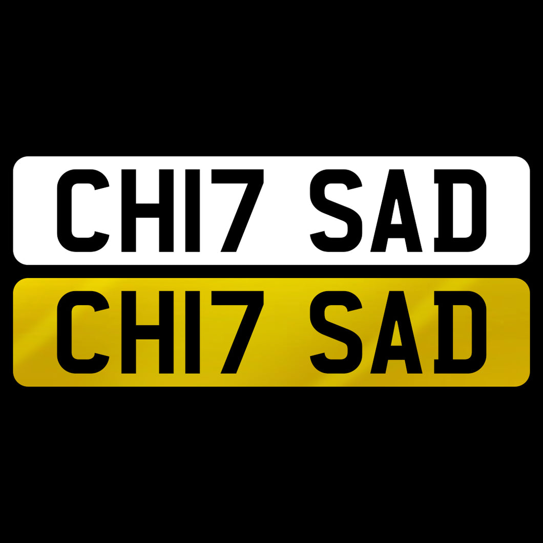 CH17 SAD