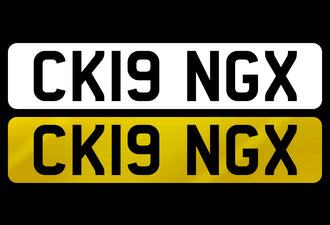 CK19 NGX
