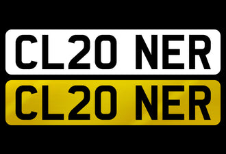 CL20 NER