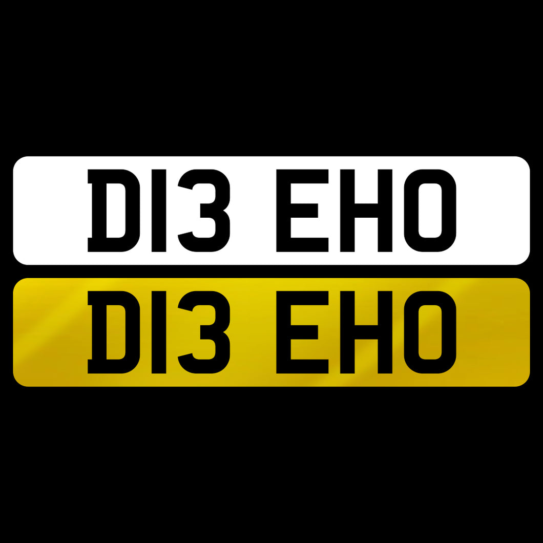 D13 EHO