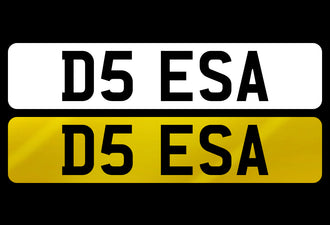 D5 ESA
