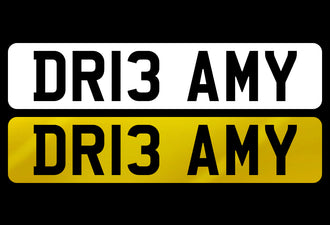 DR13 AMY