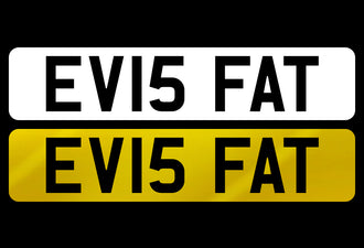 EV15 FAT