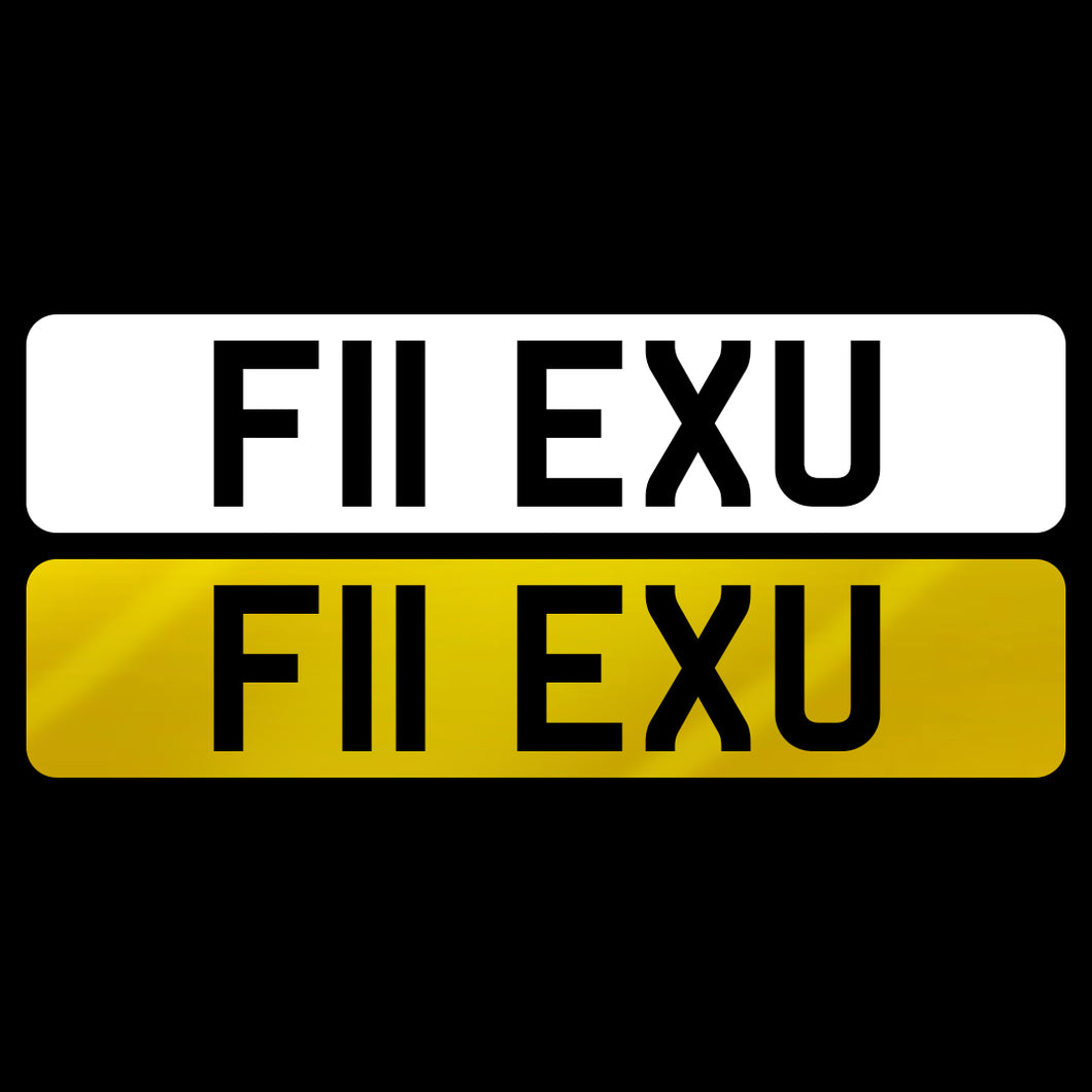 F11 EXU
