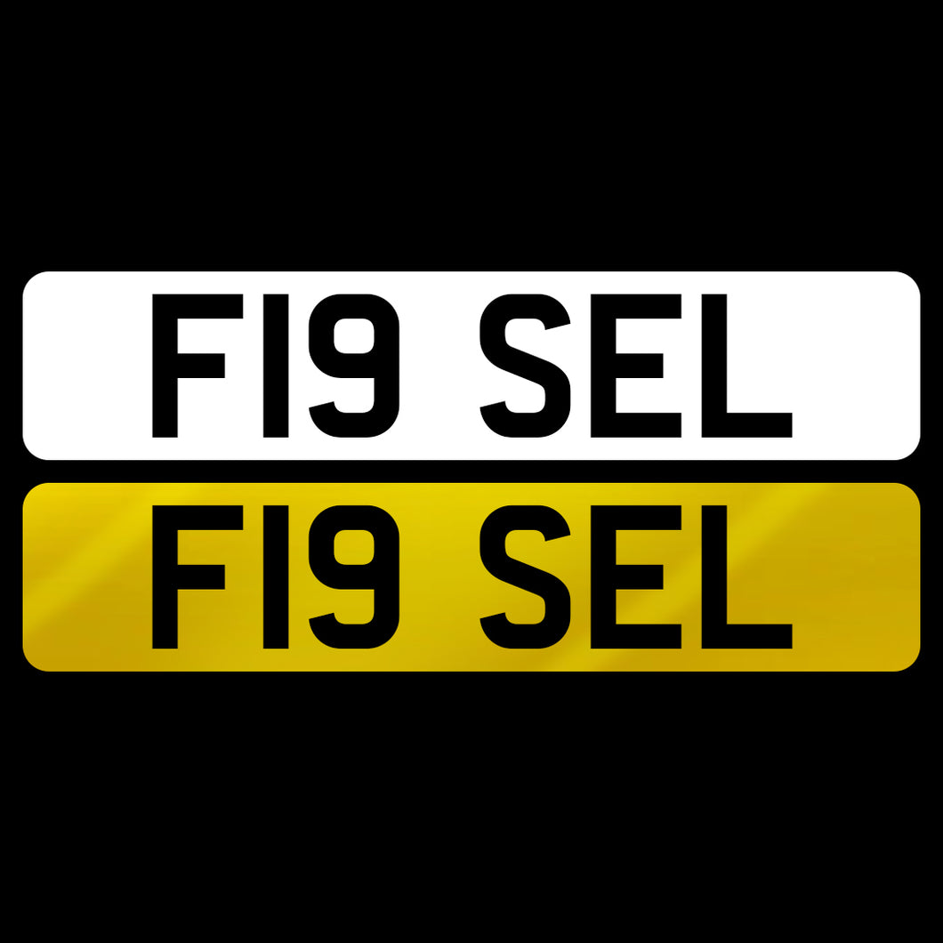 F19 SEL