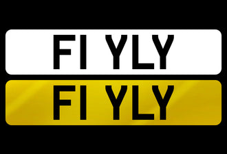 F1  YLY