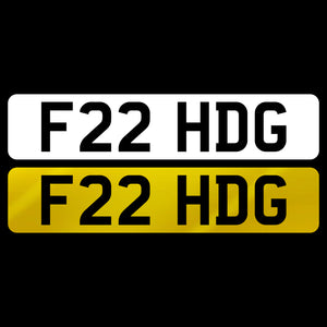F22 HDG