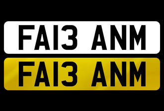 FA13 ANM