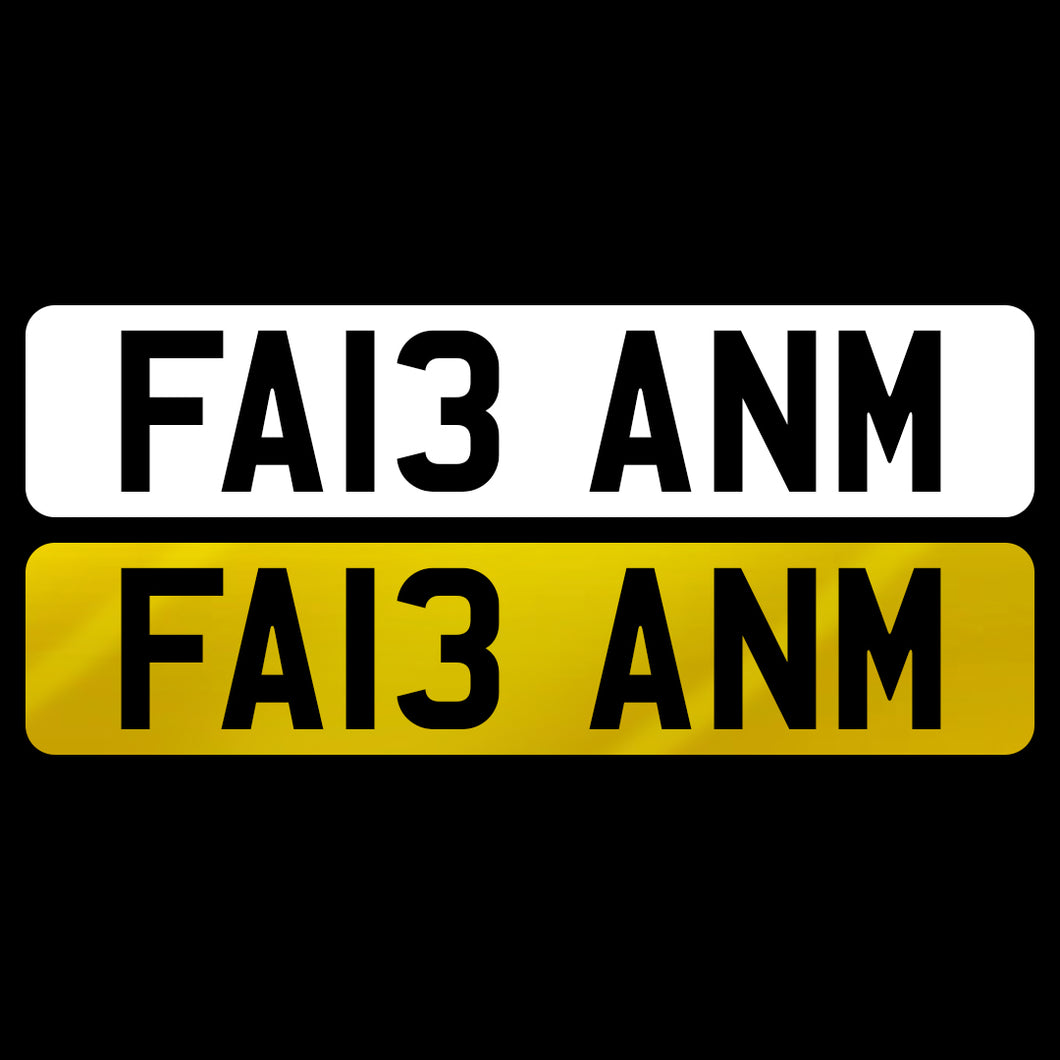 FA13 ANM