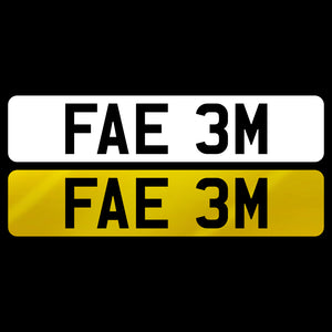 FAE 3M