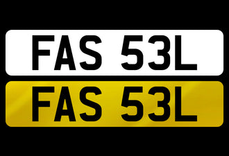 FAS 53L