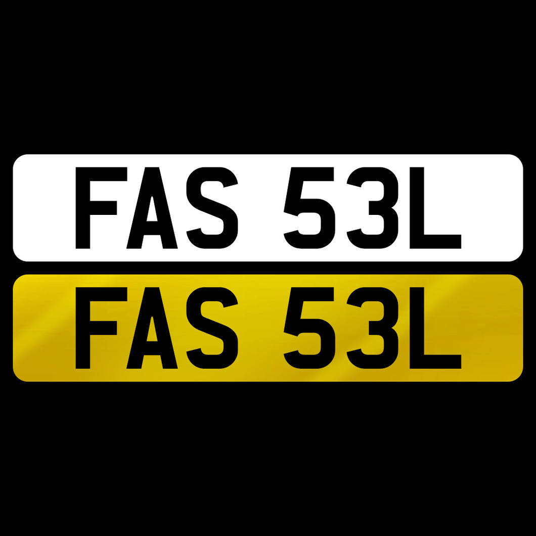 FAS 53L