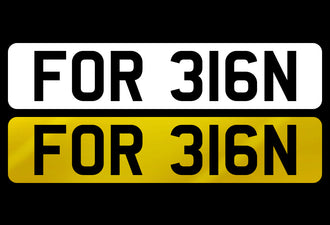 FOR 316N