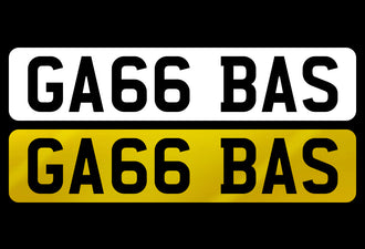 GA66 BAS