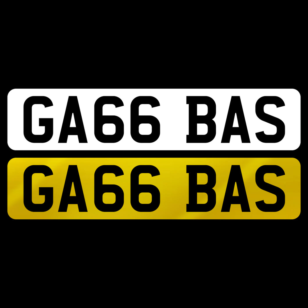 GA66 BAS