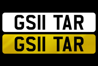 GS11 TAR