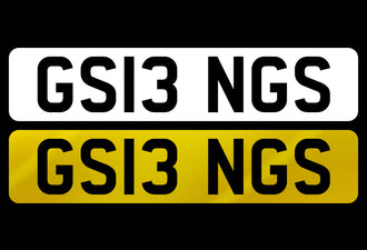 GS13 NGS