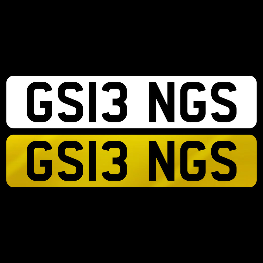 GS13 NGS