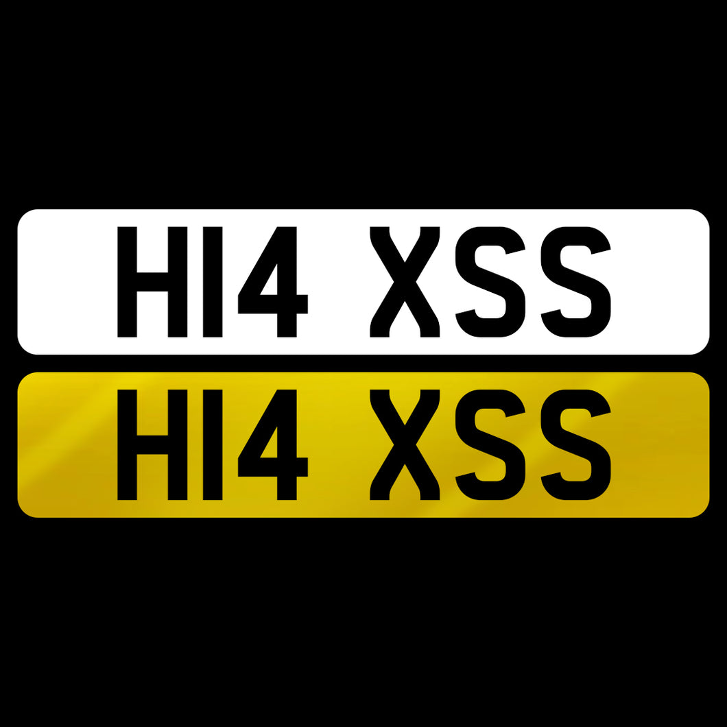H14 XSS