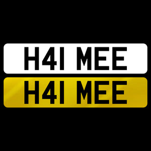 H41 MEE