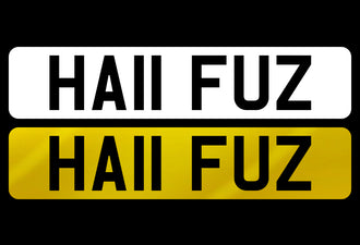 HA11 FUZ