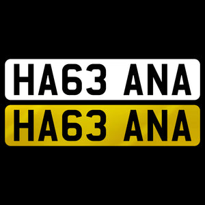 HA63 ANA