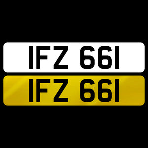 IFZ 661