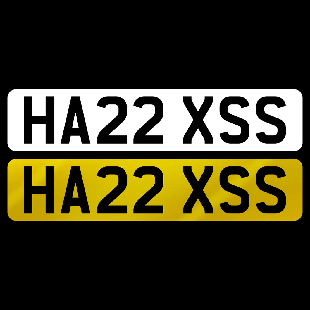 HA22 XSS