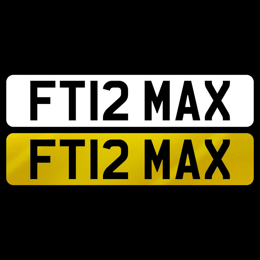 FT12 MAX