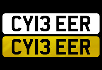 CY13 EER